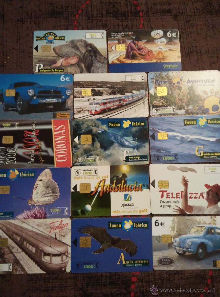 Carte telefoniche di collezione: LOTE 14 TARJETAS TELEFONICAS ESPA&Ntilde;A TT O INDIVIDUALES 1000 PESETAS 6&euro;