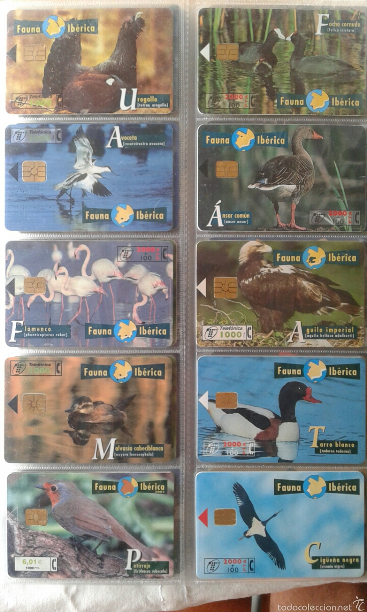 Tarjetas telef&oacute;nicas de colecci&oacute;n: COLECCION DE TARJETAS TELEFONICAS