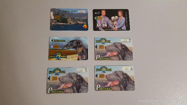 Tarjetas telef&oacute;nicas de colecci&oacute;n: LOTE 6 TARJETAS TELEF&Oacute;NICAS. 101 D&Aacute;LMATAS Y PERROS