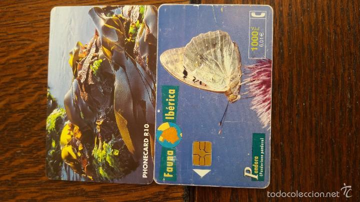 Tarjetas telef&oacute;nicas de colecci&oacute;n: tarjeta antigua de telefonos usada , telefonicas .