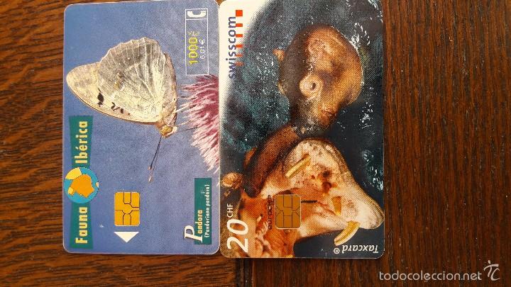 Tarjetas telef&oacute;nicas de colecci&oacute;n: tarjeta antigua de telefonos usada , telefonicas .