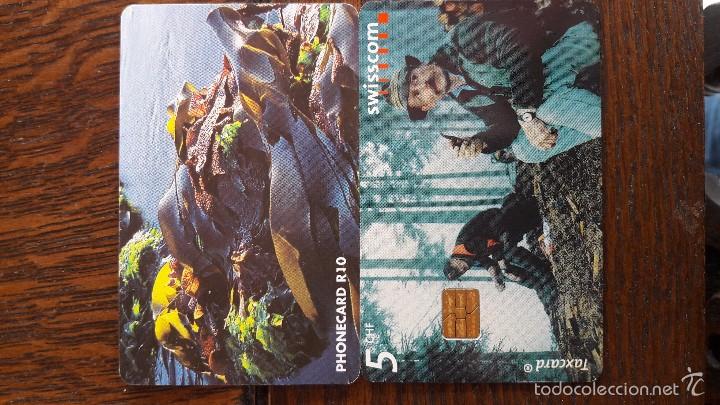 Tarjetas telef&oacute;nicas de colecci&oacute;n: tarjeta antigua de telefonos usada , telefonicas .