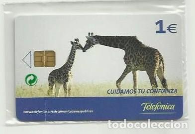 Cartes T&eacute;l&eacute;phoniques de collection: ESPA&Ntilde;A 2006 - TELEFONICA CUIDAMOS TU CONFIANZA - JIRAFAS (NUEVA Y PRECINTADA) (VALOR FACIAL)