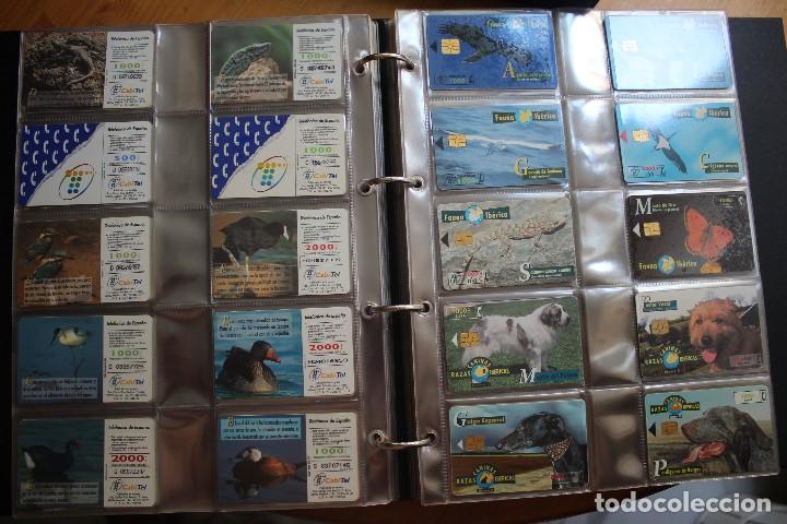 Cartes T&eacute;l&eacute;phoniques de collection: LOTE 20 TARJETAS DE ANIMALES ESPA&Ntilde;A