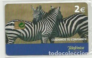 Cartes T&eacute;l&eacute;phoniques de collection: ESPA&Ntilde;A 2005 - FAUNA - CEBRA - (NUEVA Y PRECINTADA)