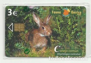 Tarjetas telef&oacute;nicas de colecci&oacute;n: ESPA&Ntilde;A 2005 - FAUNA - CONEJO COMUN - NUEVA Y PRECINTADA