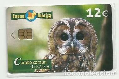 Tarjetas telef&oacute;nicas de colecci&oacute;n: ESPA&Ntilde;A 2005 - FAUNA - CARABO COMUN (STRIX ALUCO) BUHO - OWL - NUEVA Y PRECINTADA