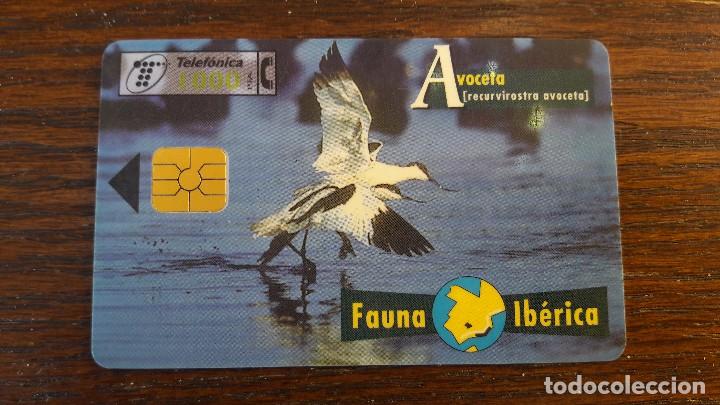 Collection telephone cards: tarjeta antigua de telefonos tarjetas usadas , telefonica .