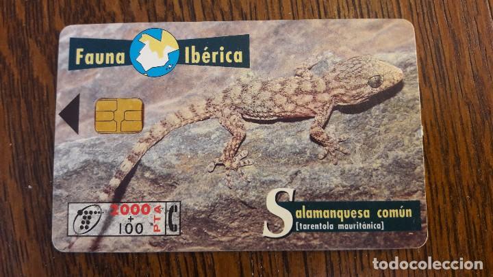 Collection telephone cards: tarjeta antigua de telefonos tarjetas usadas , telefonica .