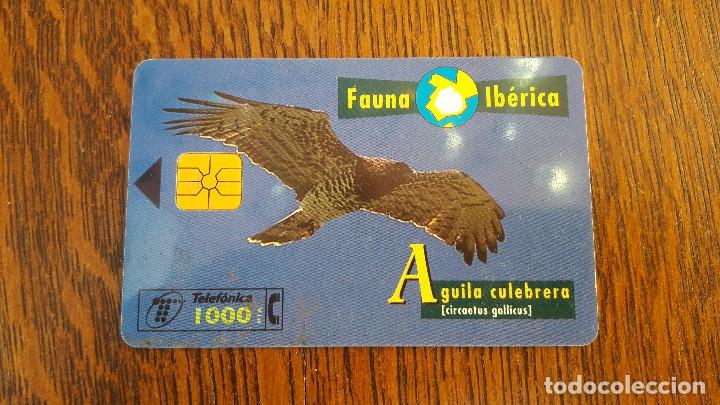 Collection telephone cards: tarjeta antigua de telefonos tarjetas usadas , telefonica .