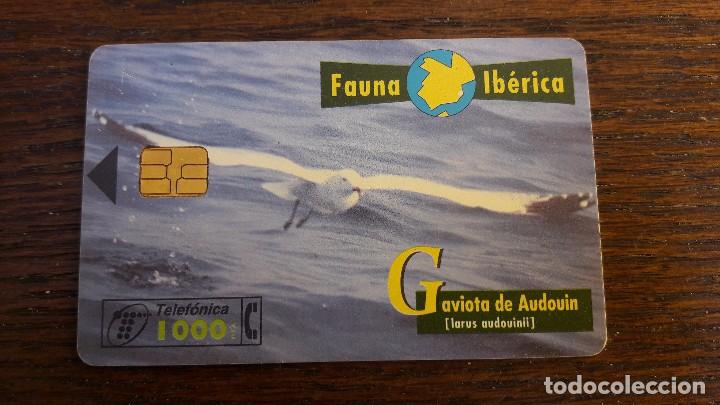 Collection telephone cards: tarjeta antigua de telefonos tarjetas usadas , telefonica .