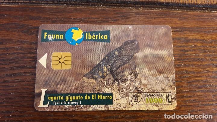 Collection telephone cards: tarjeta antigua de telefonos tarjetas usadas , telefonica .