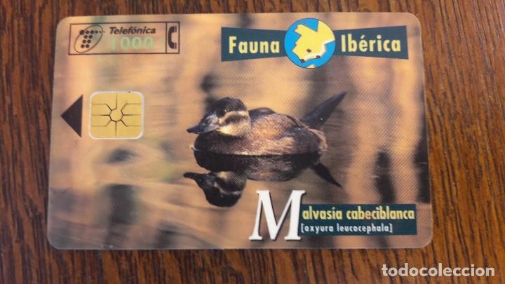 Collection telephone cards: tarjeta antigua de telefonos tarjetas usadas , telefonica .