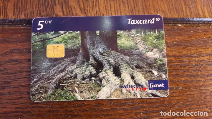 Collection telephone cards: tarjeta antigua de telefonos tarjetas usadas , telefonica .