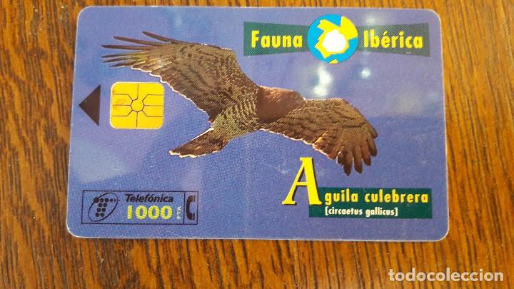 Collection telephone cards: tarjeta antigua de telefonos tarjetas usadas , telefonica .