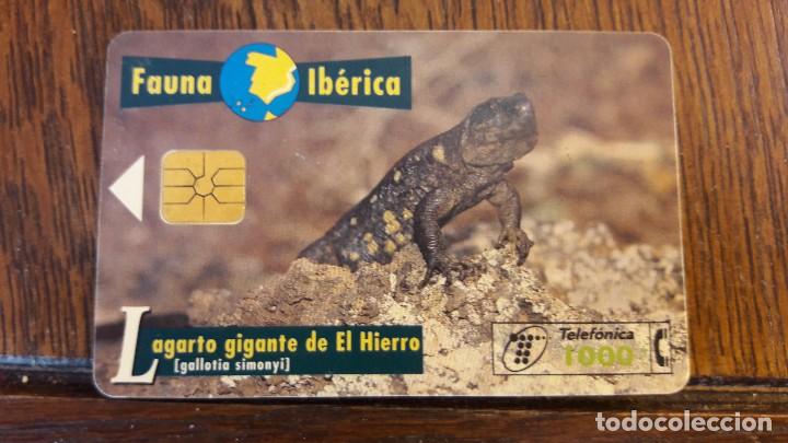 Collection telephone cards: tarjeta antigua de telefonos tarjetas usadas , telefonica .