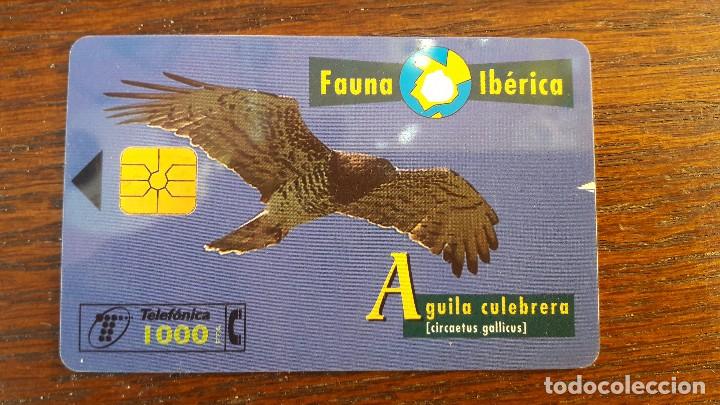 Collection telephone cards: tarjeta antigua de telefonos tarjetas usadas , telefonica .