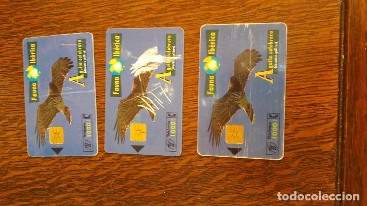 Collection telephone cards: tarjeta antigua de telefonos tarjetas usadas , telefonica .