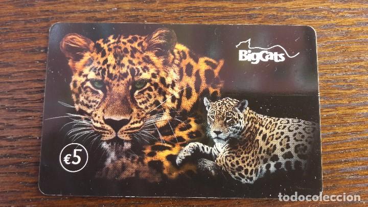 Cart&otilde;es de telefone de cole&ccedil;&atilde;o: tarjeta antigua de telefonos tarjetas usadas telefonica