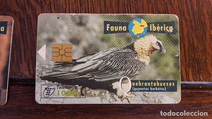 Collection telephone cards: tarjeta antigua de telefonos tarjetas usadas telefonica