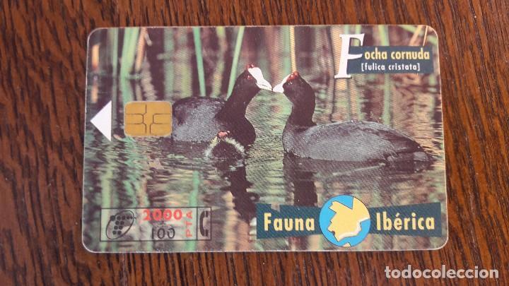 Collection telephone cards: tarjeta antigua de telefonos tarjetas usadas telefonica