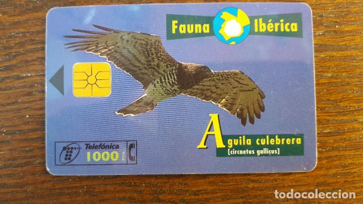 Collection telephone cards: tarjeta antigua de telefonos tarjetas usadas telefonica