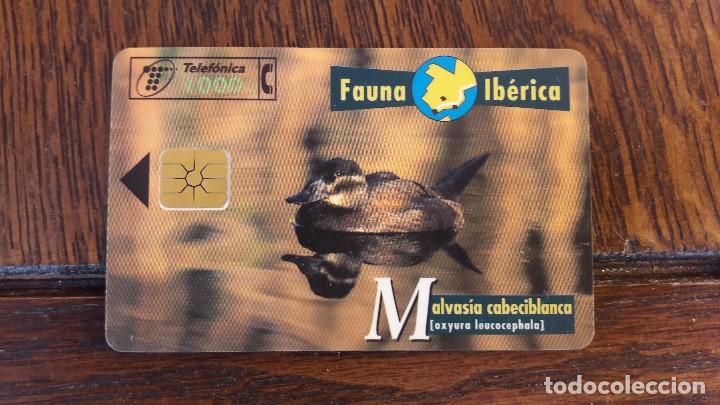 Collection telephone cards: tarjeta antigua de telefonos tarjetas usadas telefonica