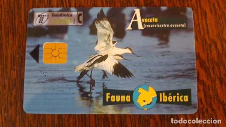 Collection telephone cards: tarjeta antigua de telefonos tarjetas usadas telefonica