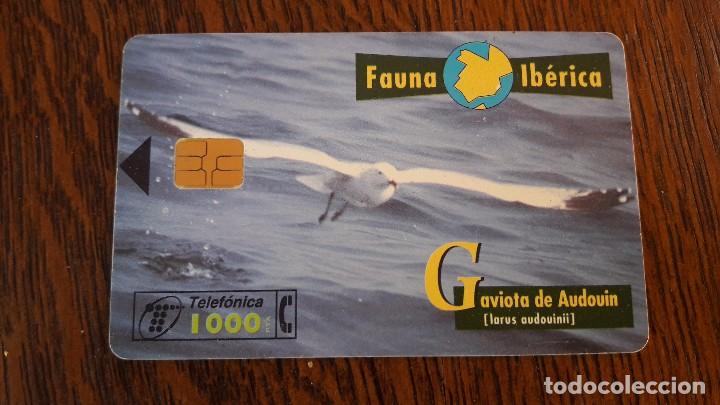 Collection telephone cards: tarjeta antigua de telefonos tarjetas usadas telefonica