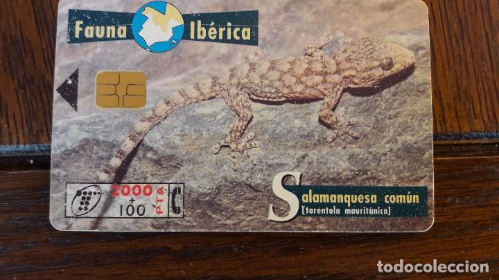 Collection telephone cards: tarjeta antigua de telefonos tarjetas usadas telefonica