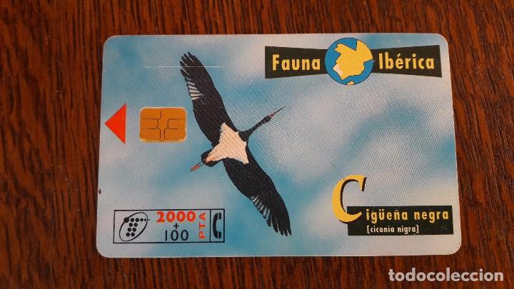 Collection telephone cards: tarjeta antigua de telefonos tarjetas usadas telefonica