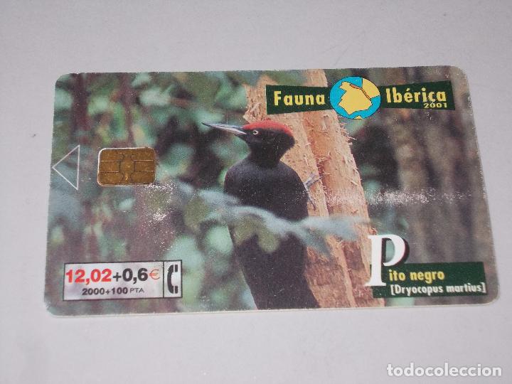 Collection telephone cards: Fauna Ib&eacute;rica Pito negro 12,02+0,6 euros 06/01