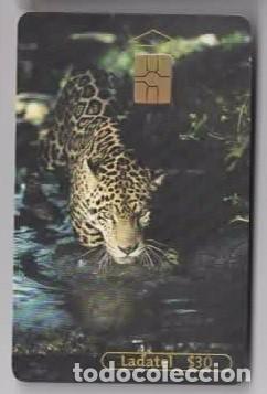 Cartes T&eacute;l&eacute;phoniques de collection: tarjeta telef&oacute;nica Ladatel