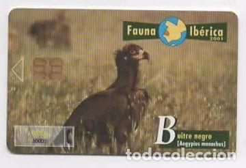 Cart&otilde;es de telefone de cole&ccedil;&atilde;o: Tarjeta telef&oacute;nica Fauna Ib&eacute;rica ( Buitre negro )