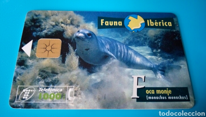 Carte telefoniche di collezione: TARJETA TELEF&Oacute;NICA - Fauna Ib&eacute;rica
