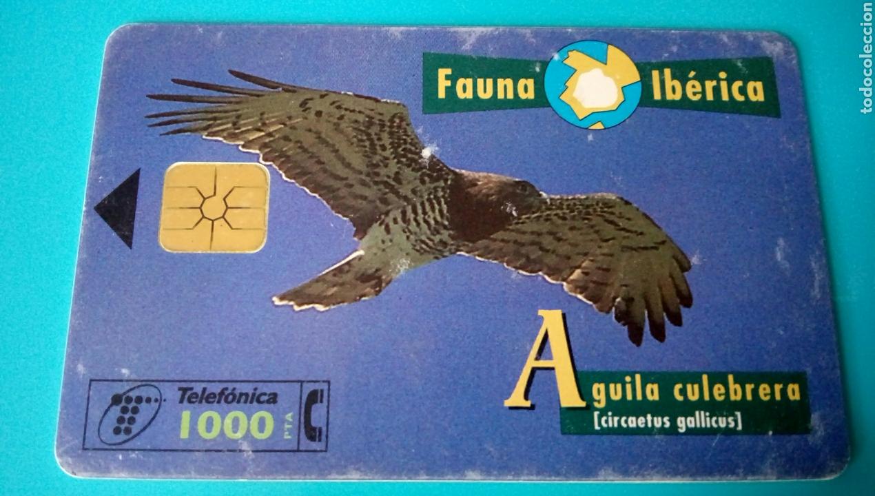Carte telefoniche di collezione: TARJETA TELEF&Oacute;NICA - Fauna Ib&eacute;rica