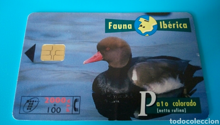 Carte telefoniche di collezione: TARJETA TELEF&Oacute;NICA - Fauna Ib&eacute;rica