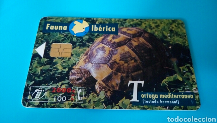 Carte telefoniche di collezione: TARJETA TELEF&Oacute;NICA - Fauna Ib&eacute;rica
