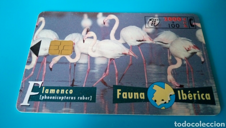 Carte telefoniche di collezione: TARJETA TELEF&Oacute;NICA - Fauna Ib&eacute;rica