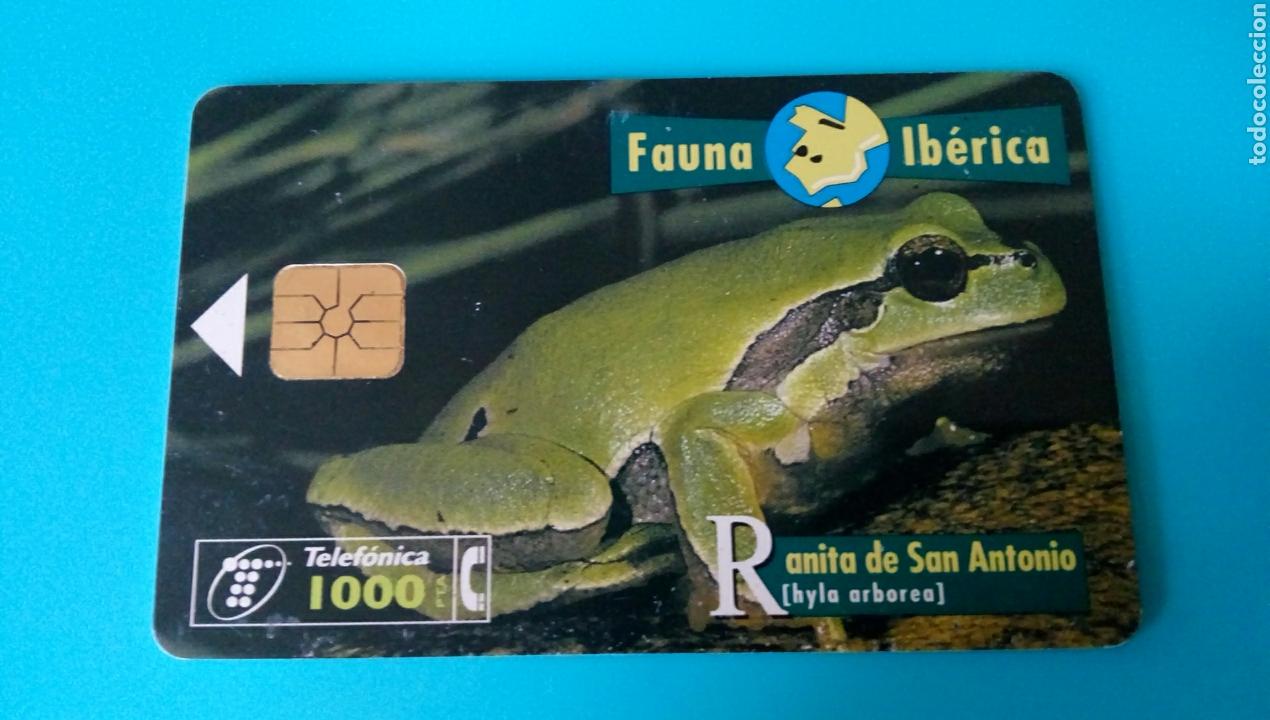 Carte telefoniche di collezione: TARJETA TELEF&Oacute;NICA - Fauna Ib&eacute;rica