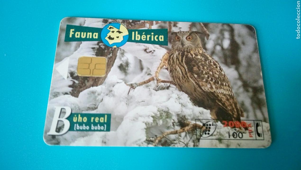 Carte telefoniche di collezione: TARJETA TELEF&Oacute;NICA - Fauna Ib&eacute;rica