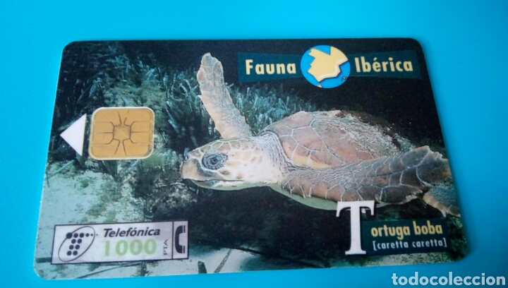Carte telefoniche di collezione: TARJETA TELEF&Oacute;NICA - Fauna Ib&eacute;rica