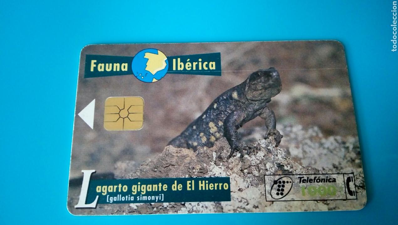 Carte telefoniche di collezione: TARJETA TELEF&Oacute;NICA - Fauna Ib&eacute;rica