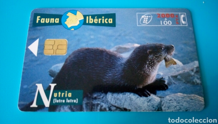 Carte telefoniche di collezione: TARJETA TELEF&Oacute;NICA - Fauna Ib&eacute;rica