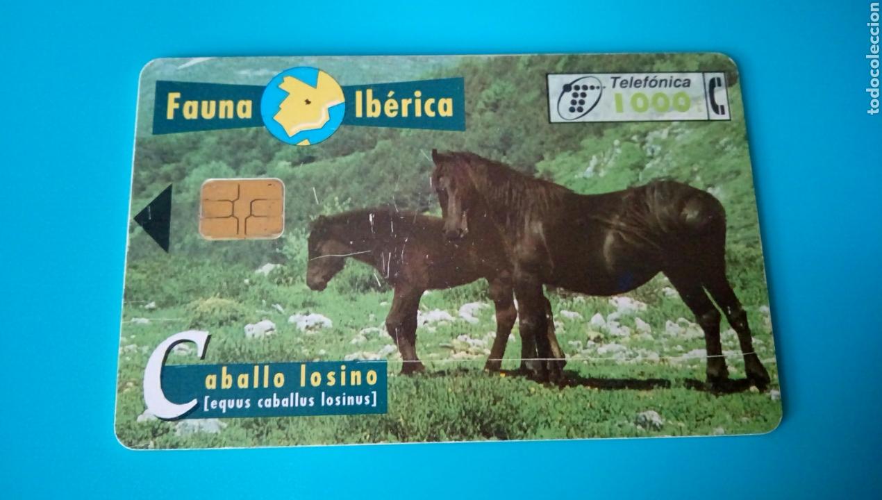 Carte telefoniche di collezione: TARJETA TELEF&Oacute;NICA - Fauna Ib&eacute;rica