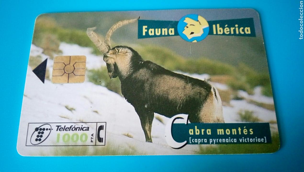 Carte telefoniche di collezione: TARJETA TELEF&Oacute;NICA - Fauna Ib&eacute;rica