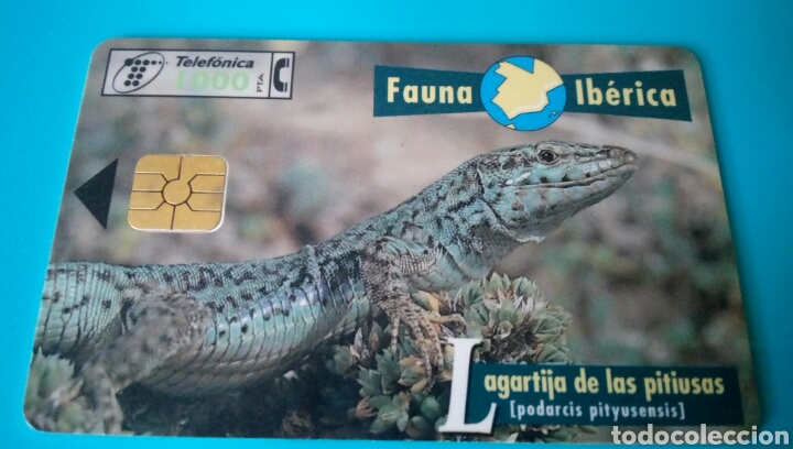 Carte telefoniche di collezione: TARJETA TELEF&Oacute;NICA - Fauna Ib&eacute;rica