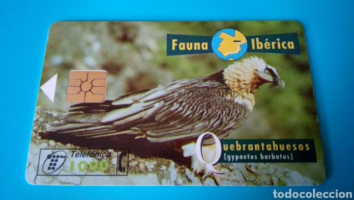 Carte telefoniche di collezione: TARJETA TELEF&Oacute;NICA - Fauna Ib&eacute;rica