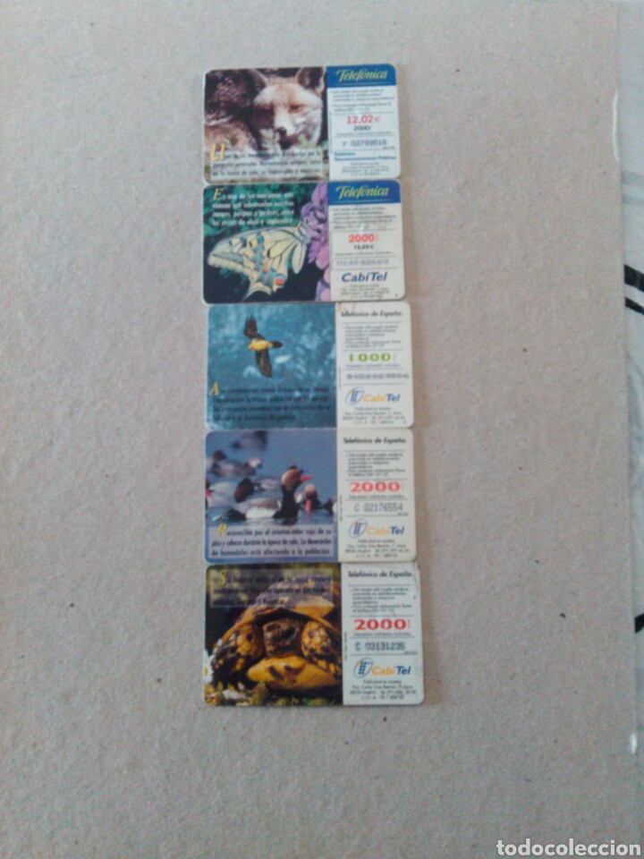 Tarjetas telef&oacute;nicas de colecci&oacute;n: Tarjetas telefono - Foto 2