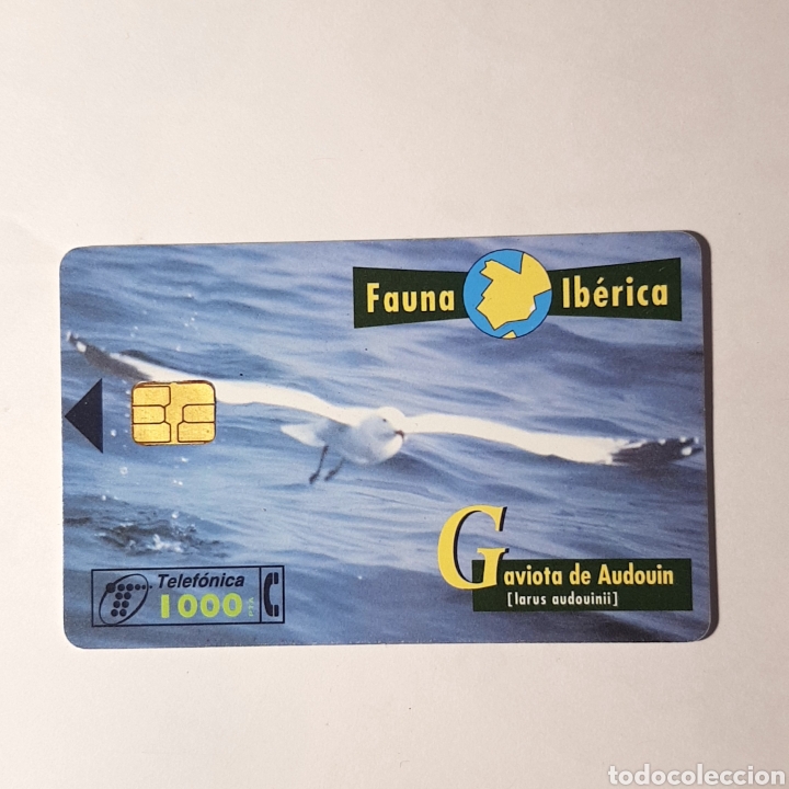 Carte telefoniche di collezione: TARJETA TELEFONICA,FAUNA IB&Eacute;RICA ? GAVIOTA DE AUDOUIN